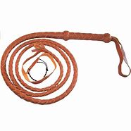 Image result for Best Leather Whip