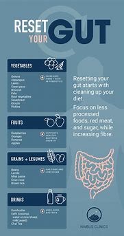Image result for Gut Health Infographic