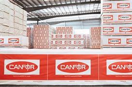 Image result for canfor
