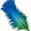 Image result for Feather Graphics Free
