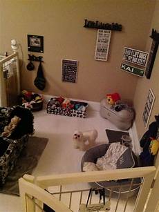 decor at home s room and i thought my dogs were spoiled decor at home s room and i thought my dogs were spoiled