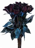 Image result for Bouquet of Black Roses