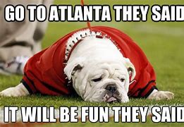 Image result for Funny Georgia Bulldog Memes