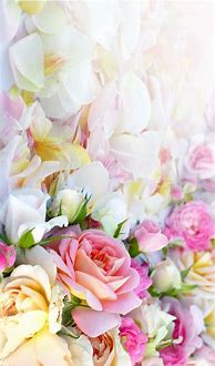 Image result for iPhone 8 Wallpaper Flowers