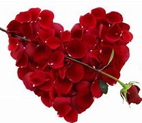 Image result for Single Rose and Heart Photo