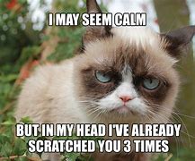 Image result for Grumpy Cat New Year Meme