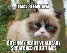 Image result for Super Funny Grumpy Cat Memes