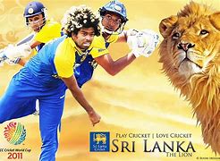 Image result for Cricket Items Shops in Sri Lanka