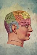 Image result for Vintage Human Brain Drawing