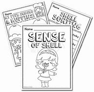 Image result for 5 Senses Smelling Activities