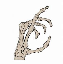 Image result for Skeleton Cartoon Hand PNG