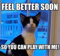 Image result for Anxiety Cat Meme