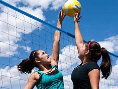 Image result for Volleyball Nets Outdoor