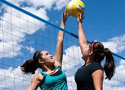 Image result for Volleyball Net and Ball