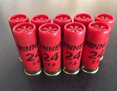 Image result for Winchester 410 Shotgun Shells