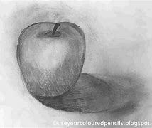 Image result for Realistic Apple Sketches