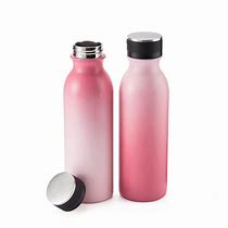 Image result for Thermos Stainless Water Bottle