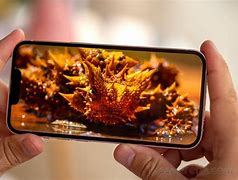 Image result for OLED iPhone 13 Display