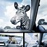 Image result for Parking Window Clings