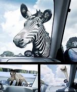 Image result for Funniest Decals