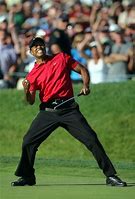 Image result for Tiger Woods Chiropractic