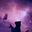 Image result for Galaxy Cat Backround