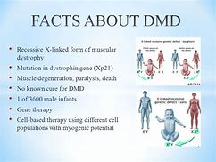 Image result for DMD Mutation
