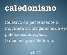 Image result for caledoniano