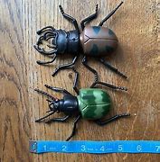 Image result for Rubber Bug Toy