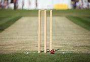 Image result for Cricket Wicket Chain