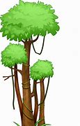 Image result for Amazon Rainforest Invisible People