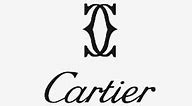 Image result for Cartier Pebble Watch