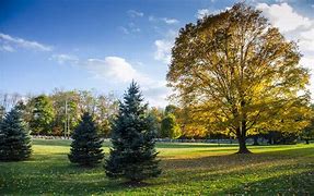 Image result for Things to Do in Mahwah NJ