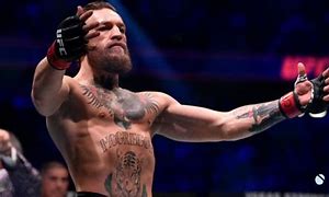 Image result for Conor McGregor Today