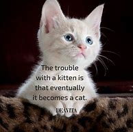 Image result for Short Cat Quotes Funny
