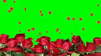 Image result for Phone Call Green Screen Frame