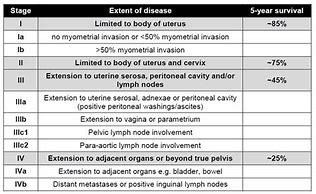 Image result for Endometrial Cancer Staging