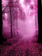 Image result for Pink Live Wallpaper