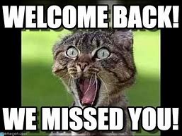 Image result for welcome memes cats