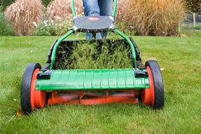 Image result for Best Type of Lawn Mower