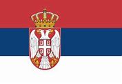 Image result for Old Serbia Flag