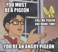 Image result for Pigeon Poop Meme