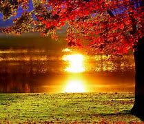 Image result for Autumn Wallpaper Trees Lake