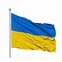 Image result for Ukraine Flag Icon