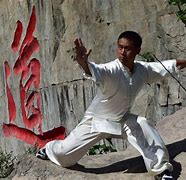 Image result for Praying Mantis Style Kung Fu