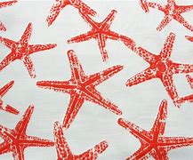 Image result for Starfish Print