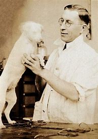 Image result for Frederick Banting Green Day