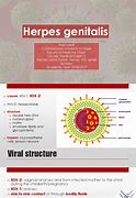 Image result for Herpes Genitalis