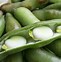 Image result for Bean Pod Off Tree