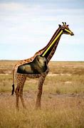 Image result for Giraffe Neck Meme